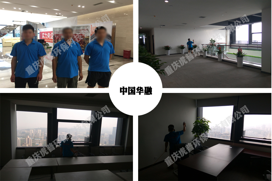 �ؑc����ȩ���g