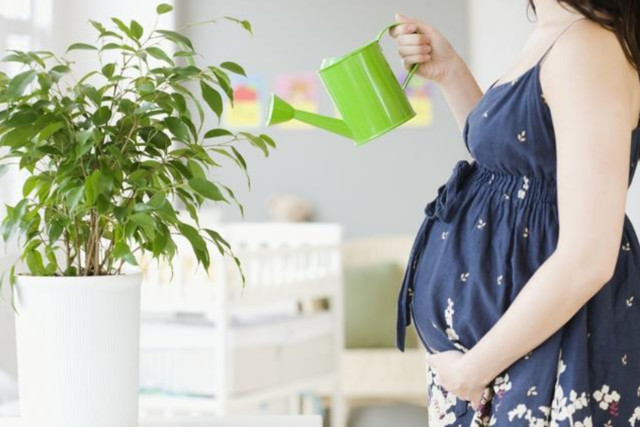 �҃ȼ�ȩ�����B���y�����@�ɷN���������܂�!