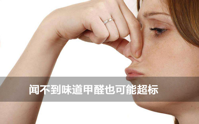 �Ϻ���ȩ�����ļҺ�|ȥ����ȩ